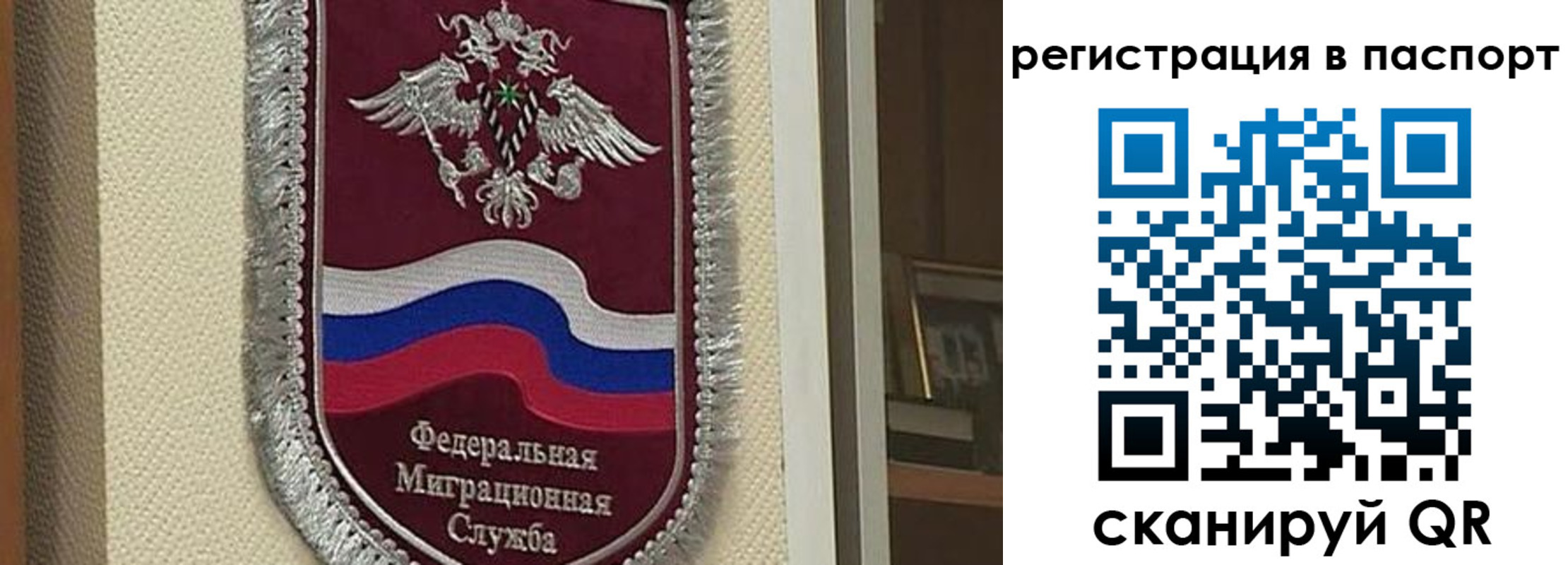 прописка законно в Белгородской области
